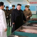 KIM&KIM FARM 이미지