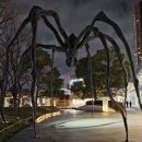 씨티타워 | 도쿄 시티뷰, 롯폰기 힐스 모리타워 전망대, 모리미술관 방문 후기, 티켓 예약, 바우처교환, 가는방법