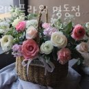 퓨얼리영플라워 - 서초구 서초중앙로8길 38-6 | 퓨얼리영플라워