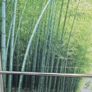 김포공항 기와집 이미지