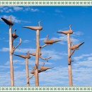 진또배기 이미지