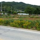 태산부동산중개사무소 이미지