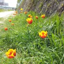 즐거운노래방 이미지