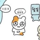 ez 아카데미