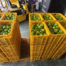 상구2리 이미지