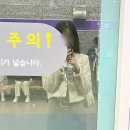 핼이 10월 일상