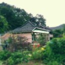 선유농장 이미지