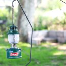 잉카마야박물관 이미지