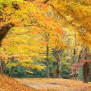 미성온천 이미지