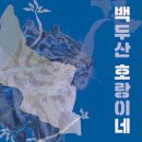 💙❤️뉴이스트 백호 강동호 달글❤️💙 : 🌳🐯백두산 호랑이네 동굴 270일째 OPEN! 🐯🌳 이미지