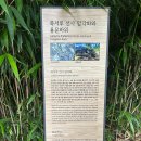 유일투어