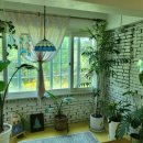 아레나펜션 이미지