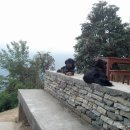 힐탑산장