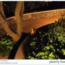 고양이이야기 이미지