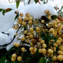 함평자연생태공원 이미지