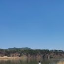 낙동야구장 2 이미지