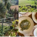 반월호수온도 이미지