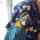 굿닥터동물병원 이미지