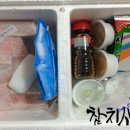 다보참치 이미지