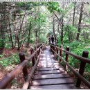 지팡이공원 이미지