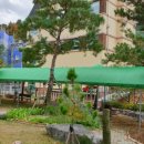 금화약국 이미지