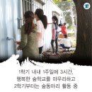 수성초등학교(구성분교) 이미지