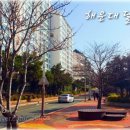 세정펜트하우스(달맞이 펜트하우스(3)) 이미지