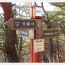 오치골