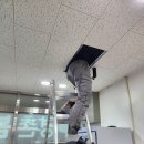 평촌봄약국 네이버블로그