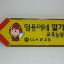이정표딸기