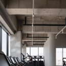 빽짐헬스 이미지