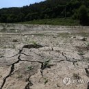 용화축산 이미지