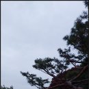 서장대 안내소 이미지