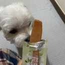 크런치미트 이미지