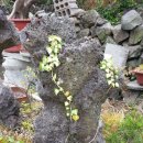 동그라미 민박 이미지