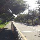 정림서로 이미지