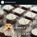 벌쓰데이마카롱