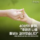 엔젤스 헤이븐 이미지