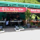 해바라기-청춘(2) 티스토리