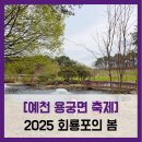 회룡포마을 | 용궁면 축제] 2025 회룡포의 봄 - #직접체험 2025 회룡포의 봄 축제 꽃축제 회룡포 축제 솔직 리뷰 후기