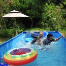 홈실농장 이미지