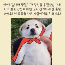 이어폰 한쪽 안들릴때 무슨노래 틀먄 고쳐진다고 한거본사람?ㅠㅠ 이미지