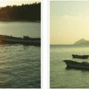 사구미해안도로 이미지