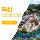 써니존 사우나 | 덕산 스플라스 리솜 워터파크 입장료 할인 준비물 수건 후기 기본정보
