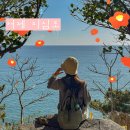 내인마을회관 | 거제 지심도 동백꽃 개화현황 및 지세포항 배편
