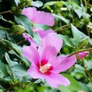 계절미용실 이미지