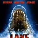 플래시드인 이미지