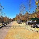 상의자동차야영장 이미지