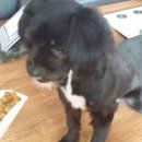 아이디얼푸드 이미지