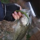 청도천5 이미지